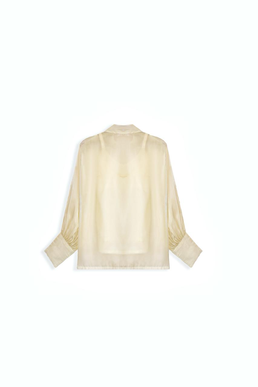 Shimmer Silk Shirt