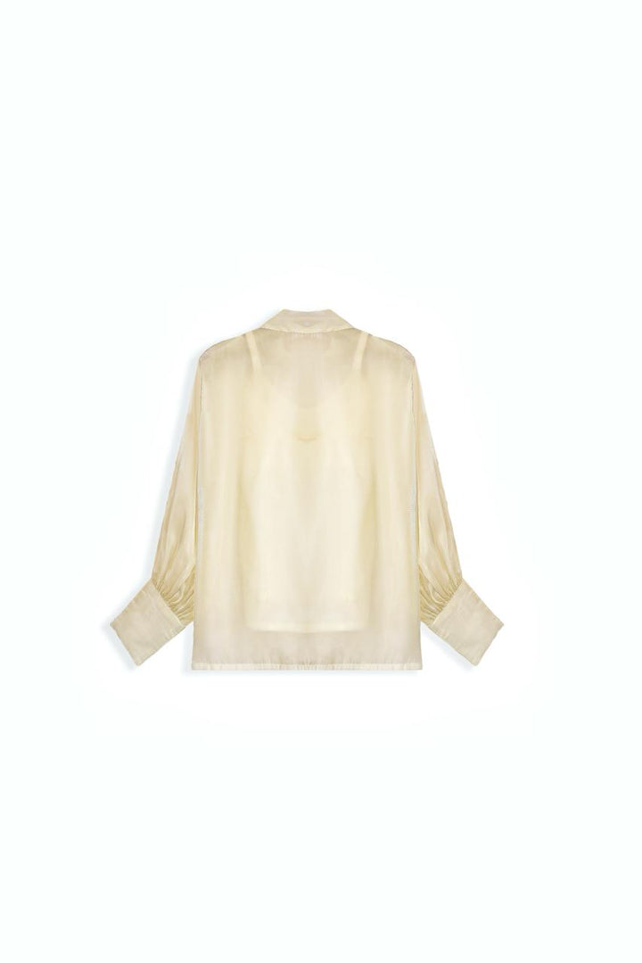 Shimmer Silk Shirt